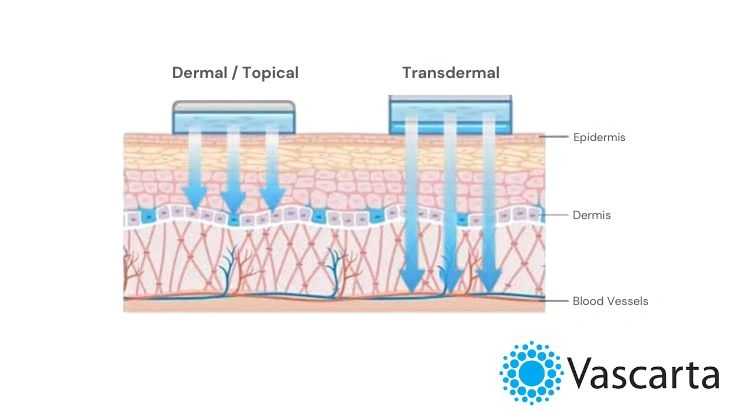 what is transdermal drug delivery