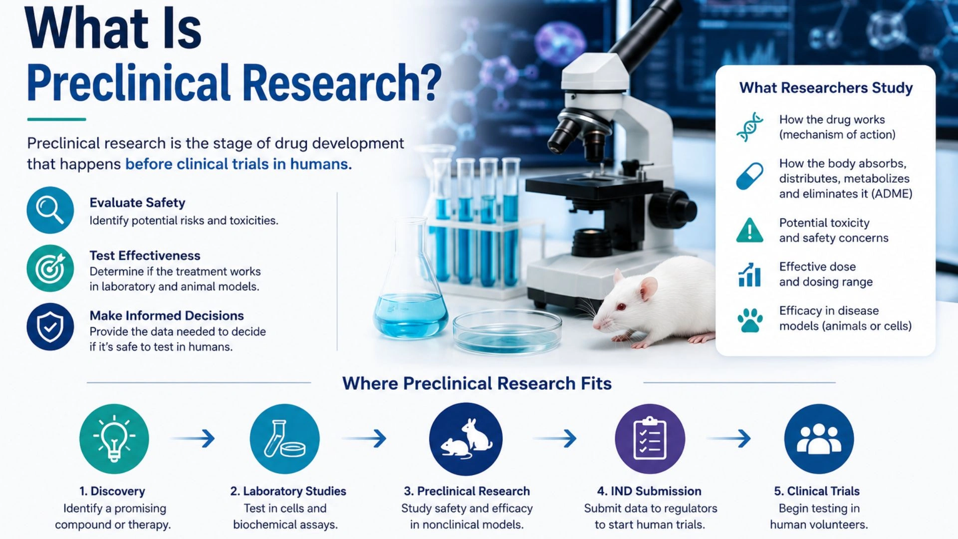 What Is Preclinical Research