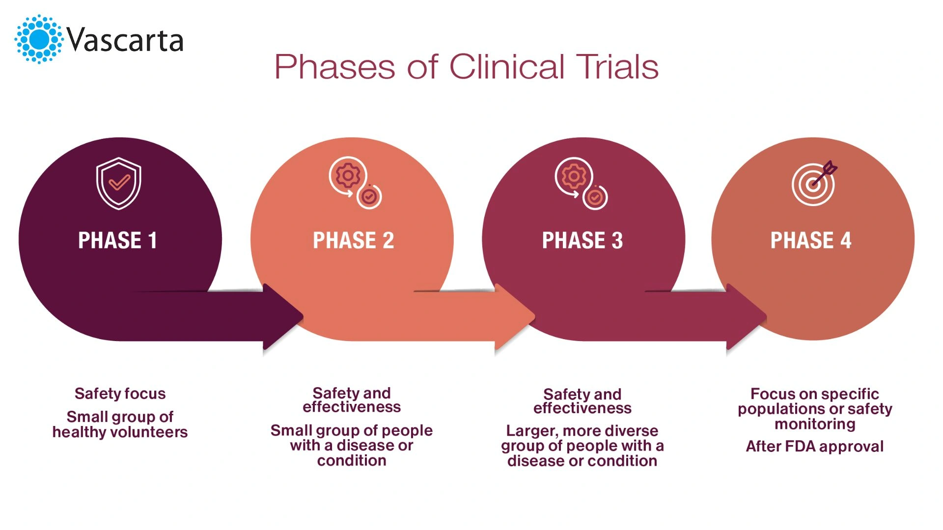 Understanding Clinical Trial Phases